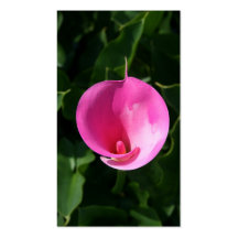 Pink lily business card