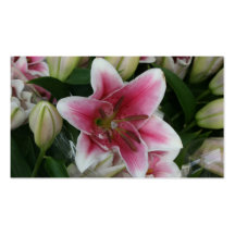 Pink lily business card template