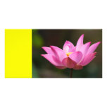 Pink Lily on Yellow Picture Card
