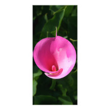 Pink lily rack card template