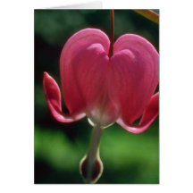 Pink Lonely heart flowers Card