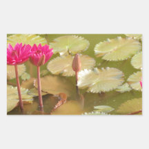 Pink lotus lilies rectangular sticker