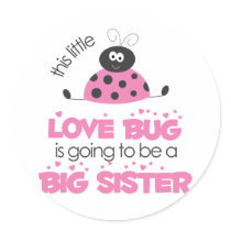 Pink Love bug Big Sister stickers