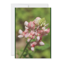 Pink Lupin Invitation Card