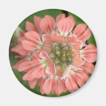 Pink Magnet
