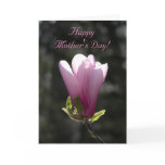 Pink Magnolia Mothers Day Card