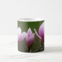 Pink Magnolias Coffee Mugs