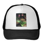Pink Moccasin flowers flowers Mesh Hats