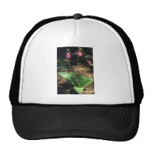 Pink Moccasin flowers flowers Mesh Hats