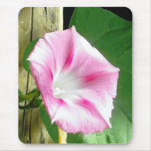 Pink morning glory mousepad