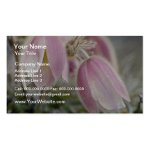 Pink Mountain Anemonae flowers Business Card Templates