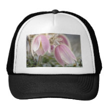 Pink Mountain Anemonae flowers Trucker Hat
