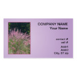 Pink muhly grass business card template