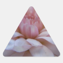 Pink Mum Close Up Triangle Sticker