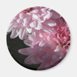 Pink Mum Duo magnets