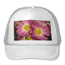 Pink Mums Hat
