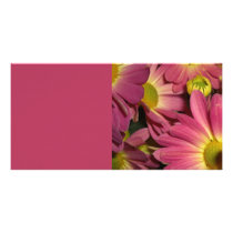 Pink Mums Photo Card