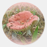 Pink Mushroom Coordinated Items Round Stickers