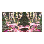 Pink n Silver Floral TEMPLATE photo cards