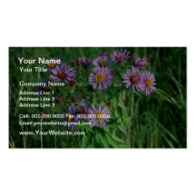Pink New England Aster (Aster Nova-Angliae) flower Business Cards