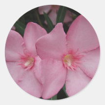 Pink Oleander Round Sticker