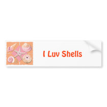 Pink & Orange Sea Shells