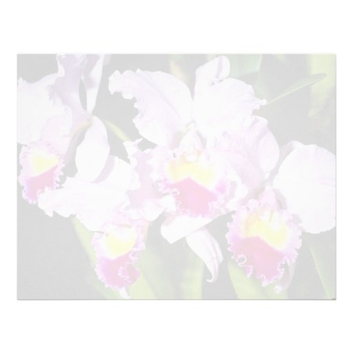 Pink Orchid cattleya trianae flowers Letterhead