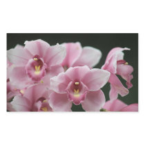 pink orchid close up rectangle stickers