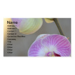 Pink Orchid Expression Business Card