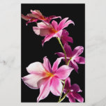 Pink Orchid. Flyers