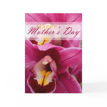 Pink Orchid for Mothers Day Cards