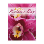 Pink Orchid for Mothers Day