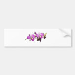 Pink orchids bumper stickers