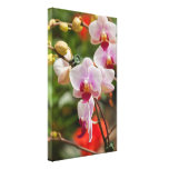 Pink Orchids Gallery Wrap Canvas