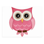 Pink Owls Post Cards