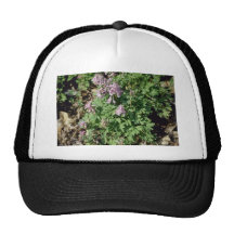 Pink Pale Corydalis (Corydalis Sempervierens) flow Mesh Hat