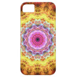 Pink Passion  kaleidoscope