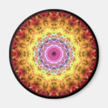 Pink Passion  kaleidoscope Fridge Magnets