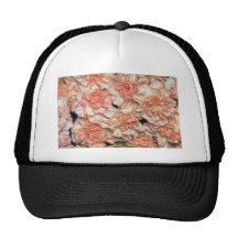 Pink Peach carnations flowers Trucker Hat