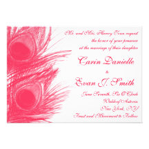 Pink Peacock Feather Invitation