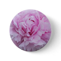 Pink Peonies / Peony