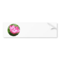 Pink Peony Bumper Stickers