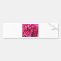 Pink Peony Flower Bumper Stickers