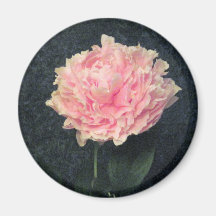 Pink Peony Magnet
