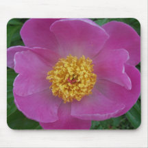 PINK PEONY MOUSE MATS