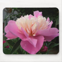 Pink Peony mousepad