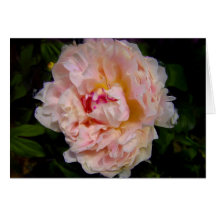 Pink Peony Oil Painting Card