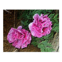 Pink Peony Postcards