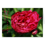 Pink Peony Rose Anniversary Card