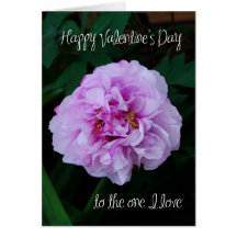 pink peony rose valentine  the one i love cards
